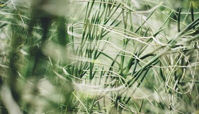 Kako napraviti amulet za sreću vlastitim rukama