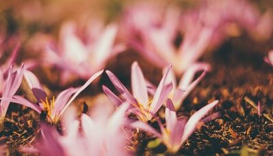 kako napraviti amulet za sreću vlastitim rukama